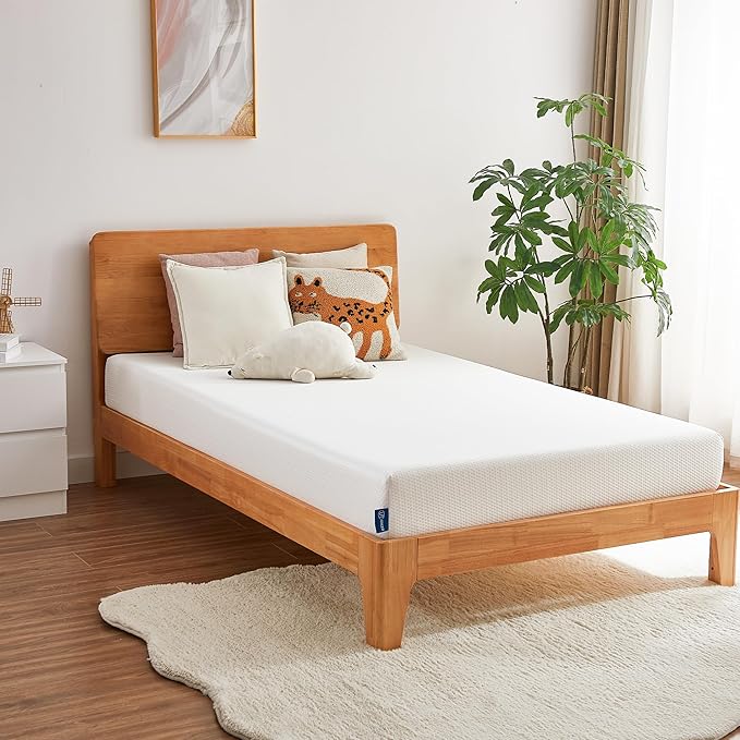Twin Mattress, 10 Inch Memory Foam Mattress in a Box, Fiberglass Free Twin Size Mattresses for Pressure & Pain Relief, Soft and Comfortable