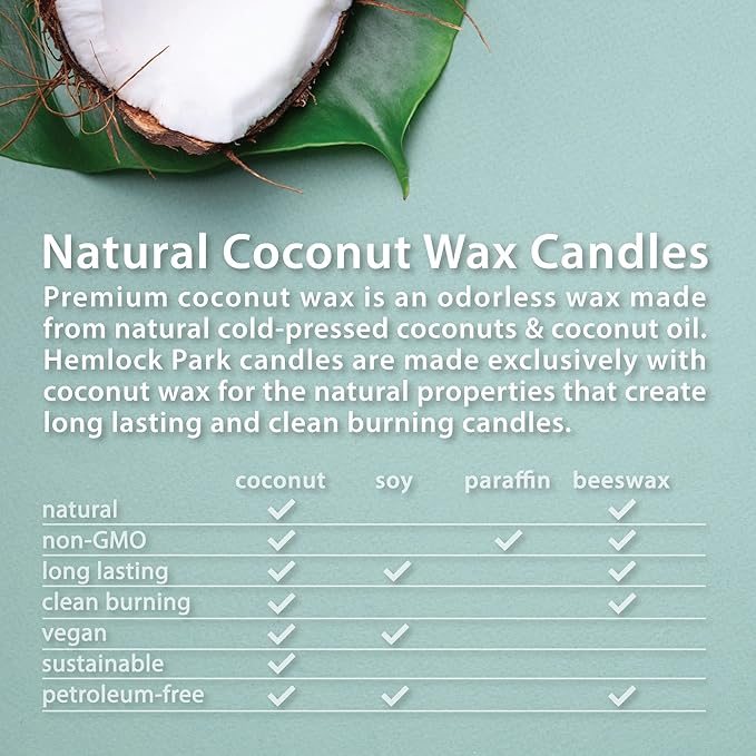 Hemlock Park Crackling Wood Wick Candle Handcrafted with Natural Coconut Wax (Large 16 oz, Santal)