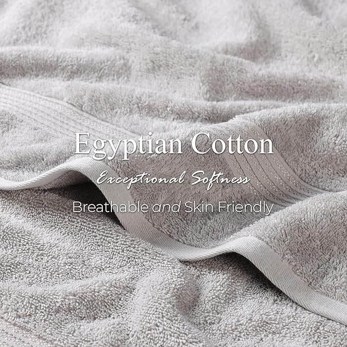 Superior Heritage Egyptian Cotton Face Towel Set, Small Towels for Kitchen, Home Bathroom, Guest Bath, Luxury Essentials, Plush, Absorbent Basics, Washcloths, Spa, Hotel, Resort, Set of 10, Silver