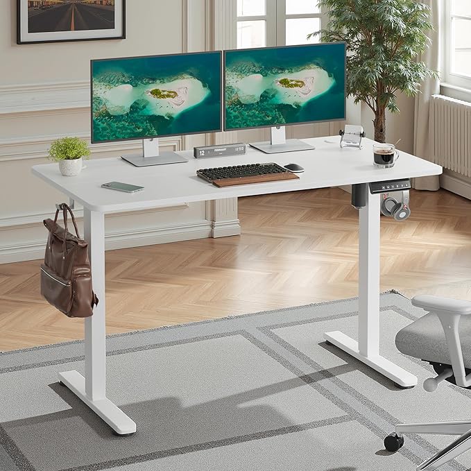 Casaphoria 48 x 24 inches Electric Standing Desk, Sit to Stand Desk with Memory Height Adjustment, Home Office Computer Desk for Writing and Games, White