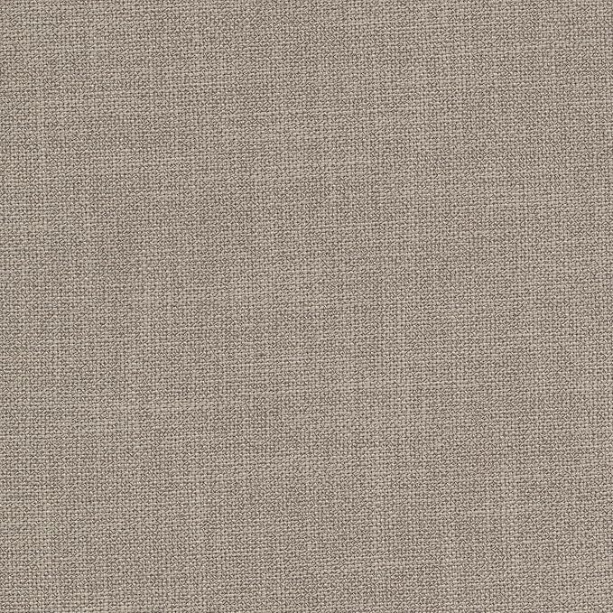 CHITA Mid-Century Modern Dining Chair, Upholstered Fabric Accent Chair for Dining Room, Set of 2, Flax Beige in Fabric